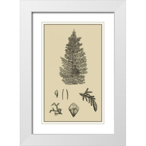 Arbor Study I White Modern Wood Framed Art Print with Double Matting by Vision Studio