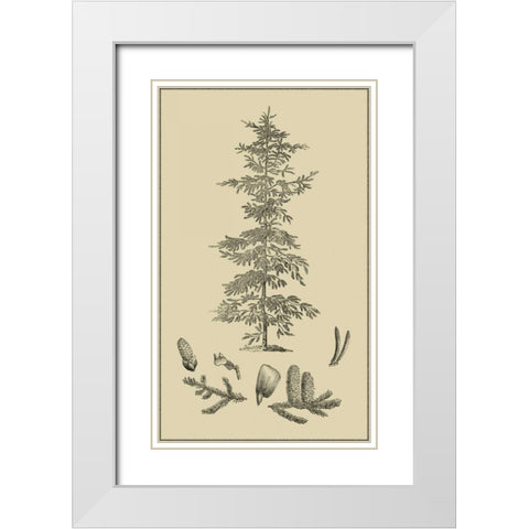 Arbor Study II White Modern Wood Framed Art Print with Double Matting by Vision Studio