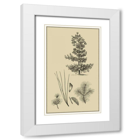 Arbor Study III White Modern Wood Framed Art Print with Double Matting by Vision Studio