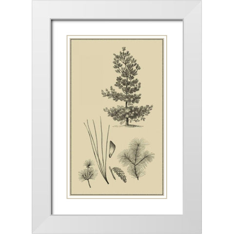Arbor Study III White Modern Wood Framed Art Print with Double Matting by Vision Studio