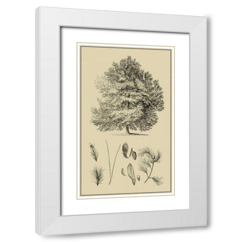 Arbor Study IV White Modern Wood Framed Art Print with Double Matting by Vision Studio