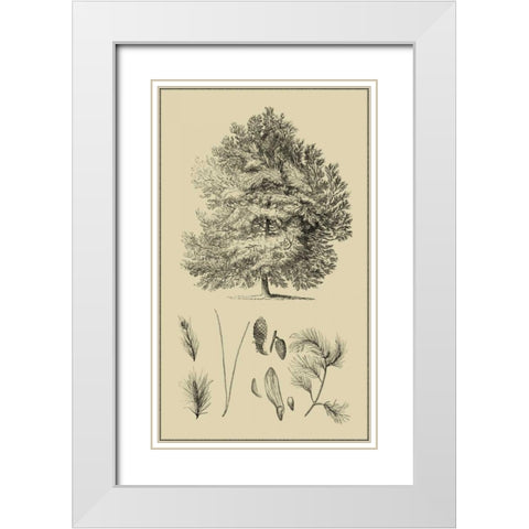 Arbor Study IV White Modern Wood Framed Art Print with Double Matting by Vision Studio