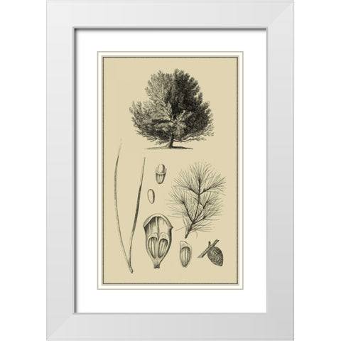 Arbor Study V White Modern Wood Framed Art Print with Double Matting by Vision Studio
