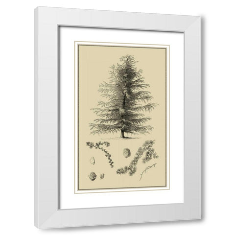 Arbor Study VI White Modern Wood Framed Art Print with Double Matting by Vision Studio