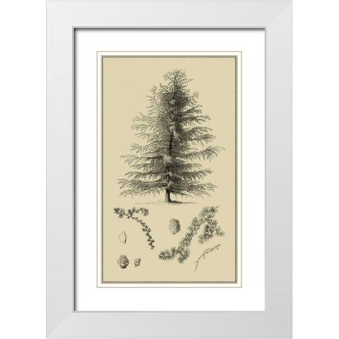 Arbor Study VI White Modern Wood Framed Art Print with Double Matting by Vision Studio