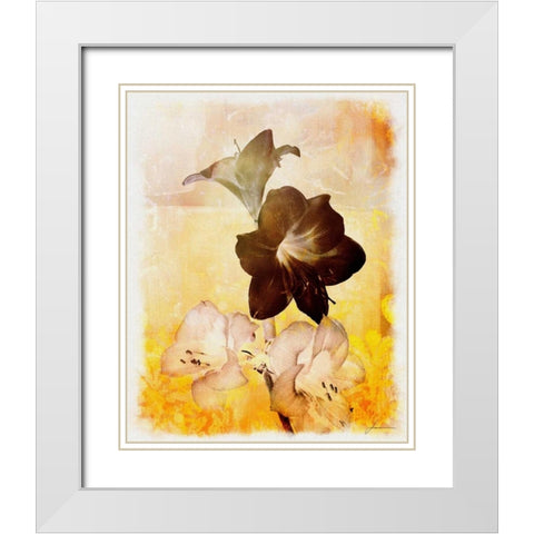 Brocade Garden II White Modern Wood Framed Art Print with Double Matting by Burghardt, James