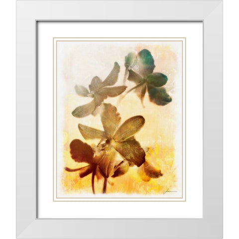Brocade Garden III White Modern Wood Framed Art Print with Double Matting by Burghardt, James