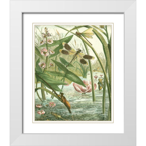 Dragonfly Gathering II White Modern Wood Framed Art Print with Double Matting by Vision Studio