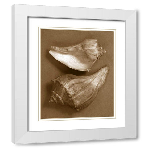 Sensual Shells I White Modern Wood Framed Art Print with Double Matting by Stramel, Renee W.