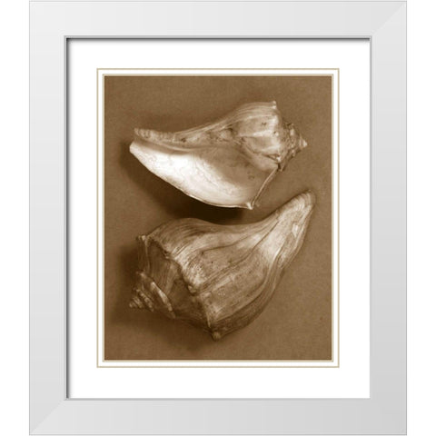 Sensual Shells I White Modern Wood Framed Art Print with Double Matting by Stramel, Renee W.