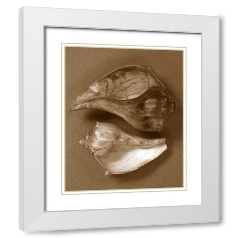 Sensual Shells II White Modern Wood Framed Art Print with Double Matting by Stramel, Renee W.