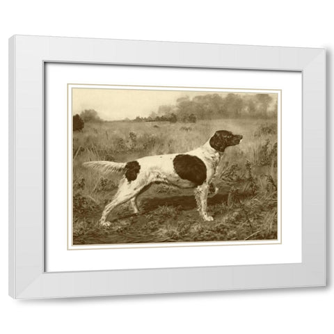 Rowdy Rod White Modern Wood Framed Art Print with Double Matting by Tracey, J.M.