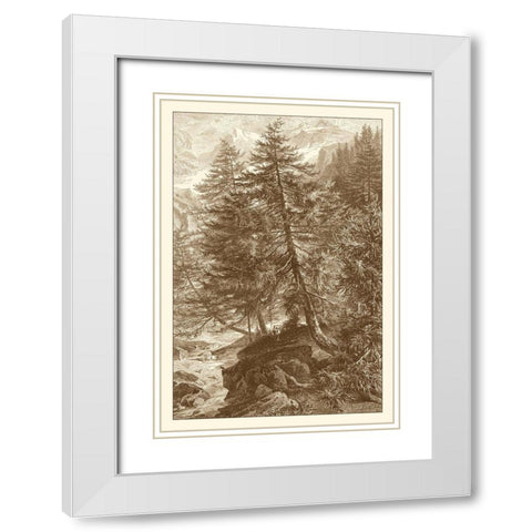 Sepia Larch Tree White Modern Wood Framed Art Print with Double Matting by Heyn, Ernst