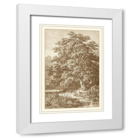 Sepia Oak Tree White Modern Wood Framed Art Print with Double Matting by Heyn, Ernst