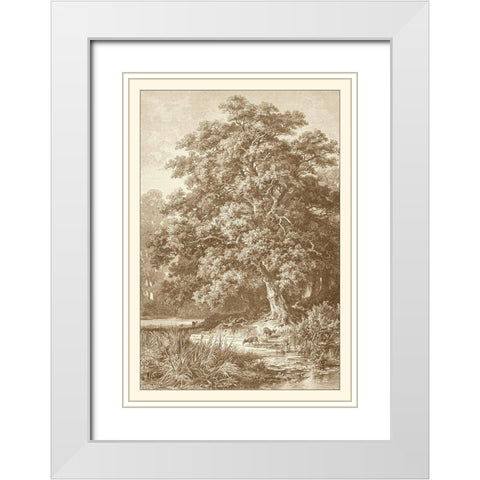 Sepia Oak Tree White Modern Wood Framed Art Print with Double Matting by Heyn, Ernst