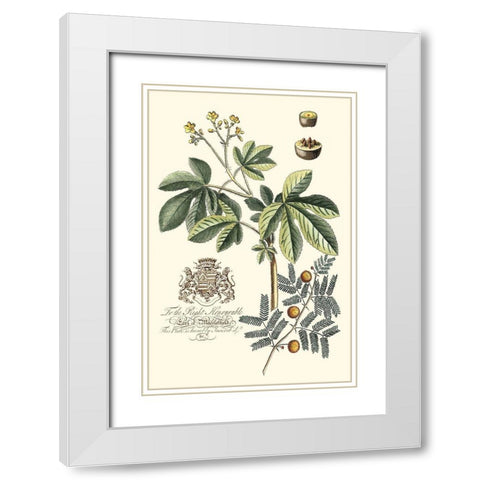 Imperial Foliage I White Modern Wood Framed Art Print with Double Matting by Vision Studio