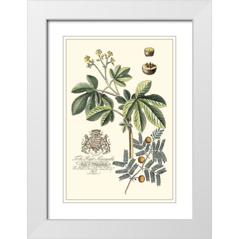 Imperial Foliage I White Modern Wood Framed Art Print with Double Matting by Vision Studio