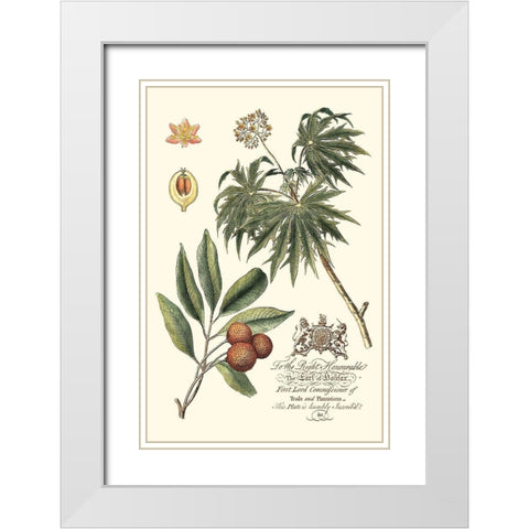 Imperial Foliage II White Modern Wood Framed Art Print with Double Matting by Vision Studio
