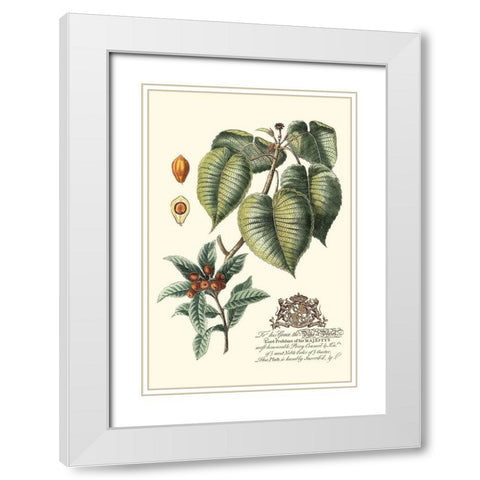 Imperial Foliage III White Modern Wood Framed Art Print with Double Matting by Vision Studio