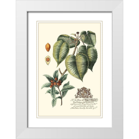 Imperial Foliage III White Modern Wood Framed Art Print with Double Matting by Vision Studio