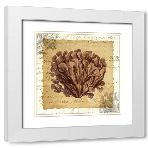 La Vie en Mer III White Modern Wood Framed Art Print with Double Matting by Vision Studio