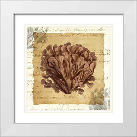 La Vie en Mer III White Modern Wood Framed Art Print with Double Matting by Vision Studio
