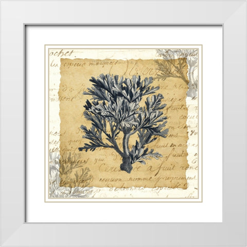 La Vie en Mer IV White Modern Wood Framed Art Print with Double Matting by Vision Studio
