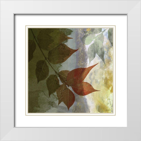Lush Moonlight White Modern Wood Framed Art Print with Double Matting by Butler, John