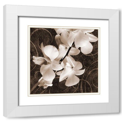 Orchid and Swirls I White Modern Wood Framed Art Print with Double Matting by Zalewski, Christine