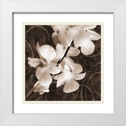 Orchid and Swirls I White Modern Wood Framed Art Print with Double Matting by Zalewski, Christine