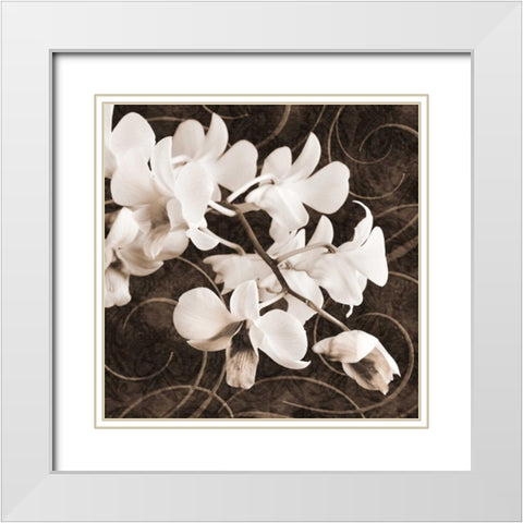 Orchid and Swirls II White Modern Wood Framed Art Print with Double Matting by Zalewski, Christine