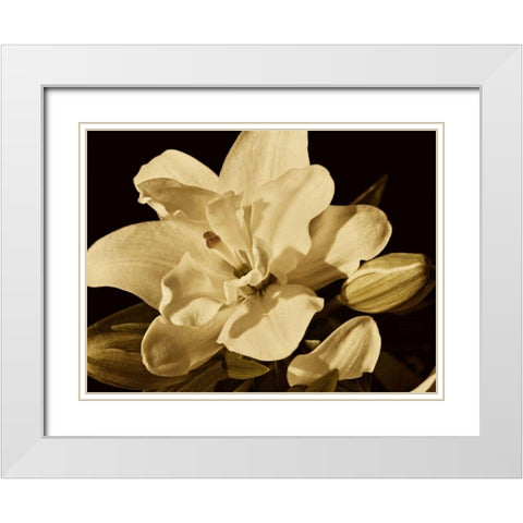 Yvoire Flower I White Modern Wood Framed Art Print with Double Matting by Perry, Rachel