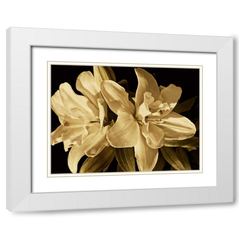Yvoire Flower II White Modern Wood Framed Art Print with Double Matting by Perry, Rachel