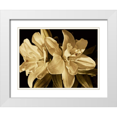 Yvoire Flower II White Modern Wood Framed Art Print with Double Matting by Perry, Rachel
