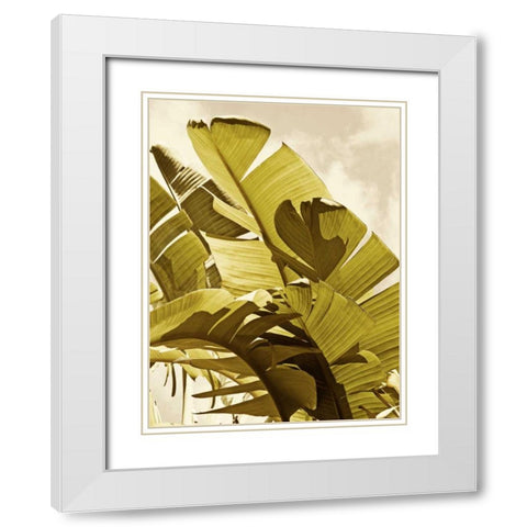 Palm Fronds I White Modern Wood Framed Art Print with Double Matting by Perry, Rachel