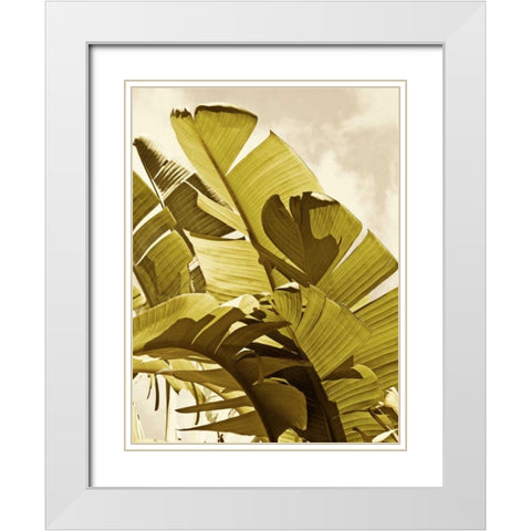 Palm Fronds I White Modern Wood Framed Art Print with Double Matting by Perry, Rachel