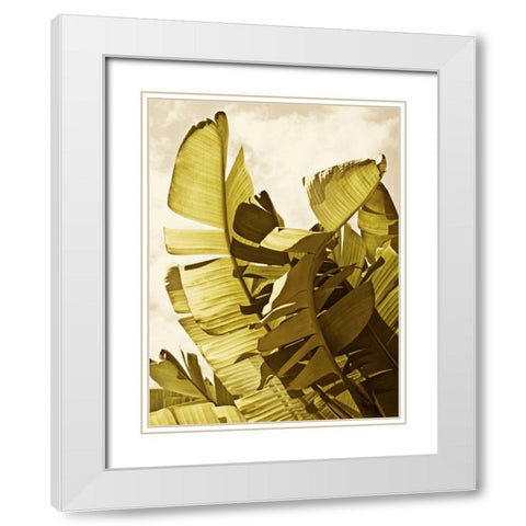 Palm Fronds II White Modern Wood Framed Art Print with Double Matting by Perry, Rachel