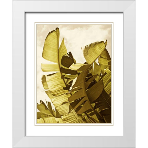 Palm Fronds II White Modern Wood Framed Art Print with Double Matting by Perry, Rachel