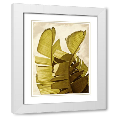 Palm Fronds III White Modern Wood Framed Art Print with Double Matting by Perry, Rachel