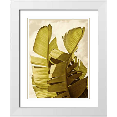 Palm Fronds III White Modern Wood Framed Art Print with Double Matting by Perry, Rachel