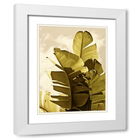 Palm Fronds IV White Modern Wood Framed Art Print with Double Matting by Perry, Rachel