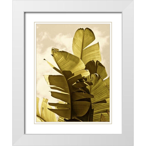 Palm Fronds IV White Modern Wood Framed Art Print with Double Matting by Perry, Rachel