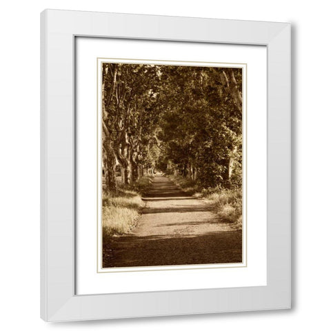 Road to St. Remy White Modern Wood Framed Art Print with Double Matting by Perry, Rachel