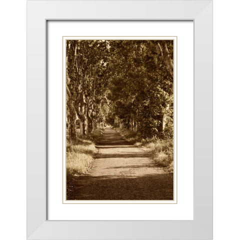 Road to St. Remy White Modern Wood Framed Art Print with Double Matting by Perry, Rachel