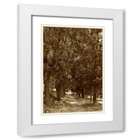 Road to Giverny White Modern Wood Framed Art Print with Double Matting by Perry, Rachel