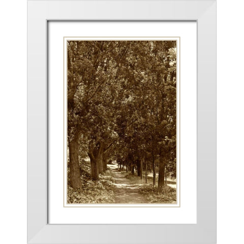 Road to Giverny White Modern Wood Framed Art Print with Double Matting by Perry, Rachel