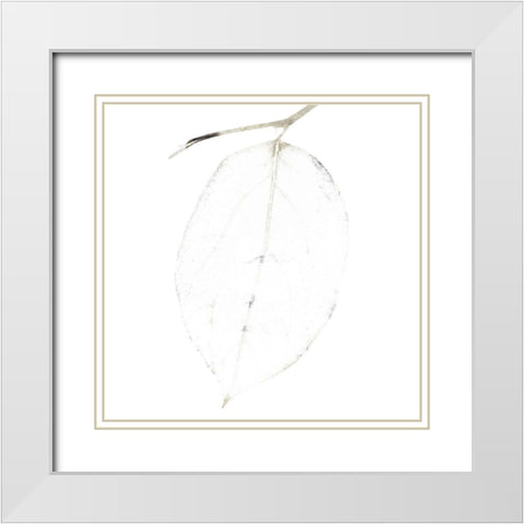 Bamboo Moon I White Modern Wood Framed Art Print with Double Matting by Zalewski, Christine