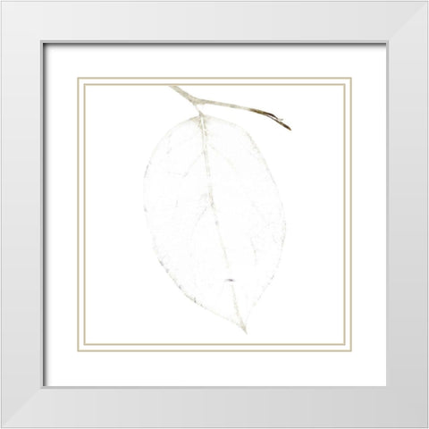 Bamboo Moon II White Modern Wood Framed Art Print with Double Matting by Zalewski, Christine