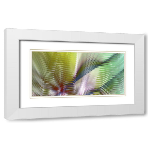Symphonic II White Modern Wood Framed Art Print with Double Matting by Burghardt, James
