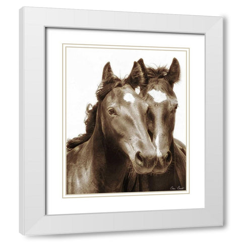Horse Portrait III White Modern Wood Framed Art Print with Double Matting by Drost, David